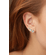 26575 -modelo-
